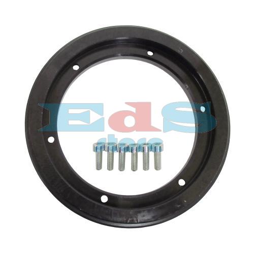 MASSA PER VOLANO MALOSSI 800GR. VESPOWER (TOTALE 2000GR)