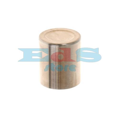 Pistone Revisione Pinza Freno Nissin 2A3-003