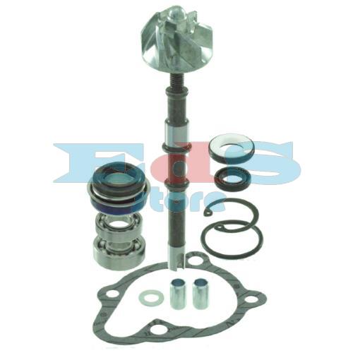Kit revisione pompa acqua RMS Kymco Dink 125-150cc