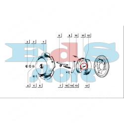 REAR BRAKE SHOES SPRING APE 50