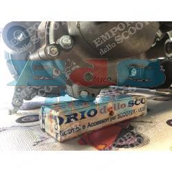 COMPLETE PINASCO ENGINE READY FOR INSTALLATION