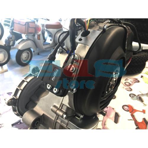 COMPLETE PINASCO ENGINE READY FOR INSTALLATION